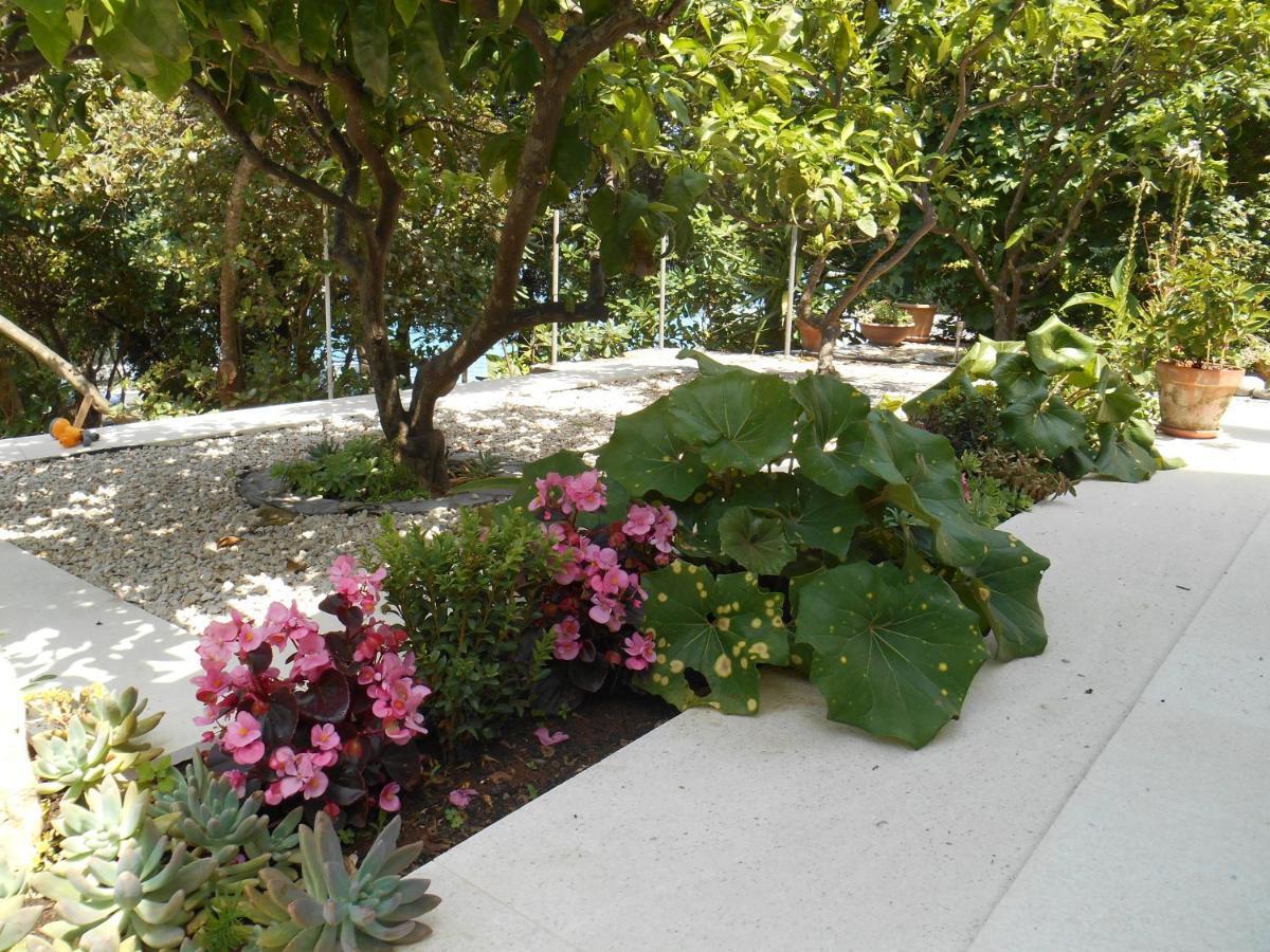 Apartment Marija Korčula Exterior foto